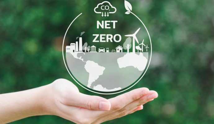 1 net zero la gi