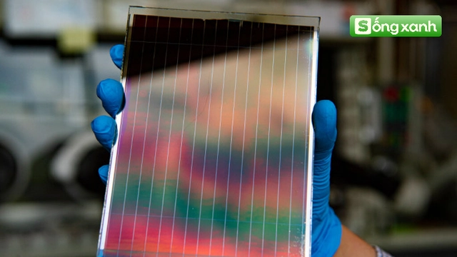 edit perovskite 17401144514871274438273