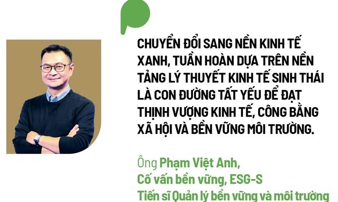 Pham Viet Anh ESG S 1